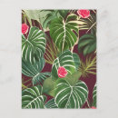 Buscar plantas tropicales postales Rosa