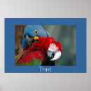 Buscar cooperación posters Motivación