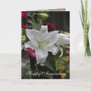 Buscar días fotograficas tarjetas General y unisex