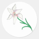 Buscar lirio blanco pegatinas Flor