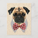 Buscar pug postales Animales