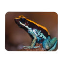 Buscar dardos imanes Naturaleza