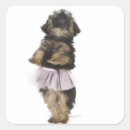 Buscar poo pegatinas Humor