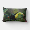 Buscar toucan cojines Pájaro