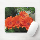 Buscar gerbera electronica Nombre