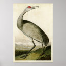 Buscar grúas arte Ilustracion