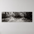 Buscar bosque blanco y negro posters General y unisex