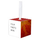 Buscar hoja de arce adornos 1 º caída