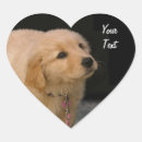 Buscar golden retriever pegatinas Animal