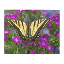 Buscar verbena arte Púrpura