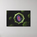 Buscar bioquímica arte Microscópico