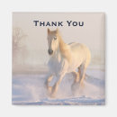 Buscar caballo blanco imanes Ecuestre