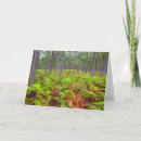 Buscar crecimiento tarjetas Bosque