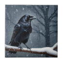 Buscar raven azulejos Negro