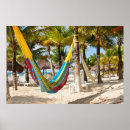 Buscar hamacas posters Palmeras