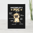 Buscar anatomía tarjetas Perros