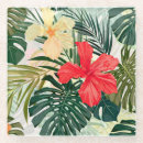 Buscar flor hawaiana posavasos Patrón