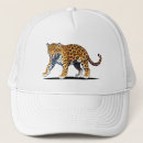 Buscar majestuoso gorras Salvaje