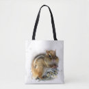 Buscar ardilla negra accesorios Naturaleza