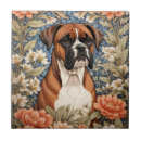 Buscar boxer azulejos Vintage