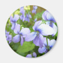 Buscar de color de malva fotografía Flor