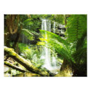 Buscar selva tropical fotografía Cascada
