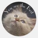 Buscar ojos manualidades Gatito