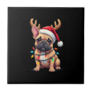 Buscar luces de navidad azulejos Perro