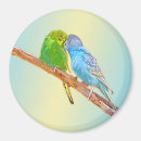 Buscar parakeet imanes Para todos