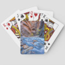 Buscar ganchos barajas de cartas Desierto