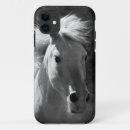 Buscar caballos blackberry fotografía Occidente