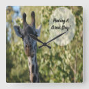 Buscar jirafas relojes de pared General y unisex