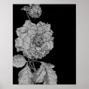 Buscar plata negra posters Para ella