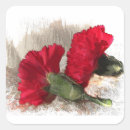 Buscar claveles pegatinas Rosa