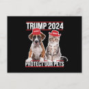 Buscar gatas postales Kamala