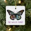 Buscar naturaleza hermosa adornos Mariposa