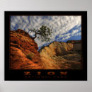 Buscar zion Desierto