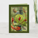 Buscar cardenales rojos tarjetas Aves