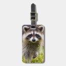 Buscar mapaches etiquetas para maletas Vida silvestre