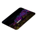 Buscar morado imanes Otoño