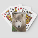 Buscar lobo blanco barajas de cartas Animal