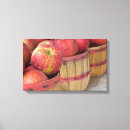 Buscar nutrición arte Cosecha