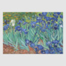 Buscar flor del iris papel de seda Flores
