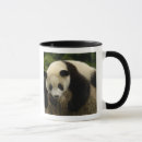 Buscar melanoleuca del ailuropoda tazas Ailuropodidae