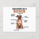Buscar del boxeador postales Raza de perro