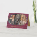 Buscar meditación tarjetas Amistad