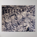 Buscar vikingo posters Escandinavo