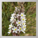 Buscar dique posters Para todos