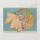 Buscar frenología postales Cerebro