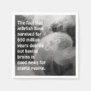 Buscar medusas servilletas Animales marinos